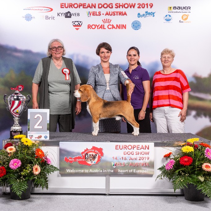 GROUP_6_2_12918_HR_EURODOGSHOW_WELS_2019_KYNOWEB_KY2_8680_20190616_19_06_03_copy_682x682.jpg