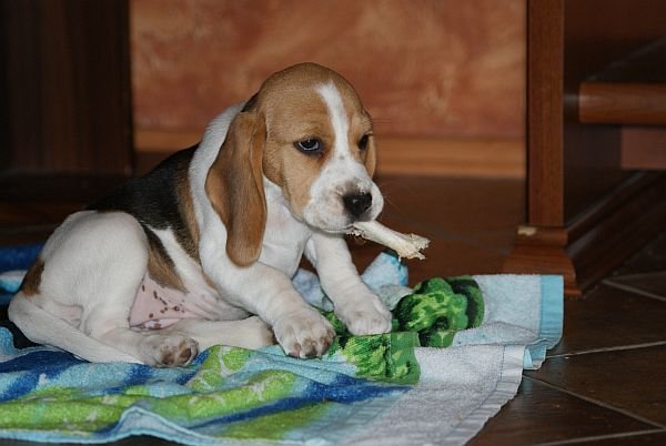 KEY TO LOVE Simpatica PS