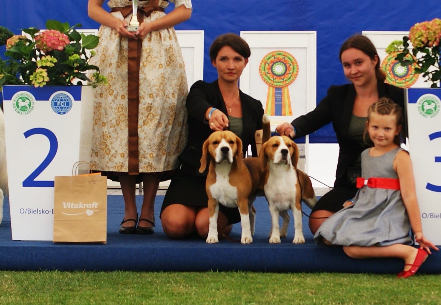 Beagle - cacib wisla Beagle - cacib wisla