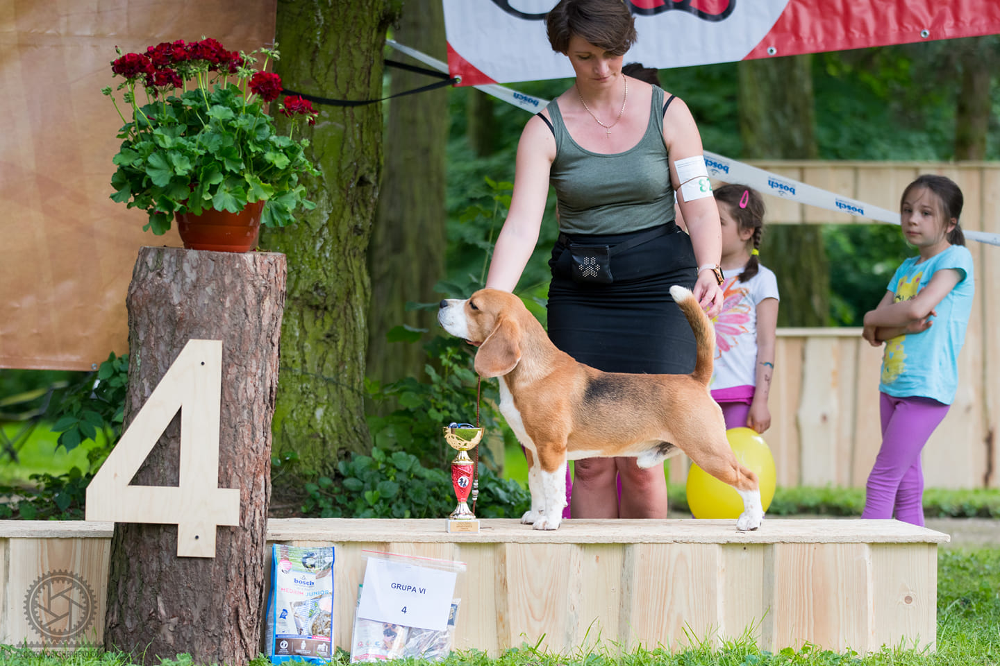Beagle - Uzarzewo Beagle - Uzarzewo